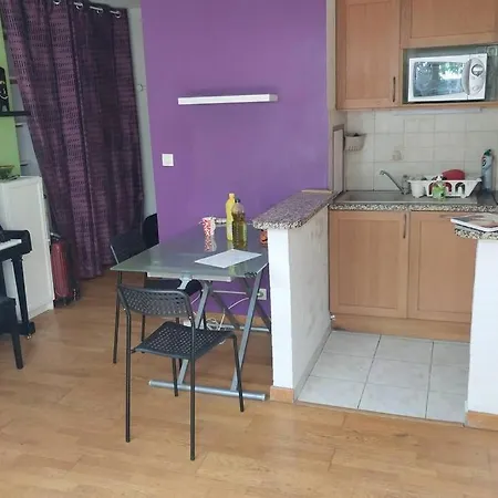 Studio 29M2 Avec Jardin Privatif 40M2 Proche Paris *