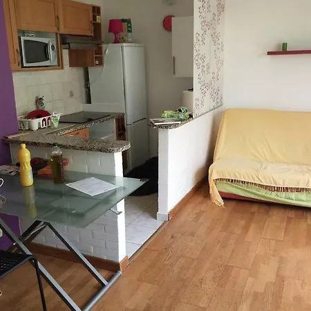 Studio 29M2 Avec Jardin Privatif 40M2 Proche Paris Daire